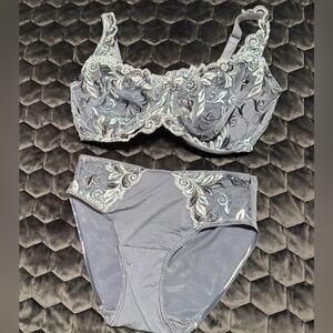 NWOT SOMA Lace Embroidered Bra (34DDD) with Matching Hipster (Small)